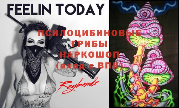 прущие крисы Богородск