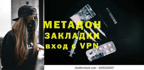 молекула духа Богданович