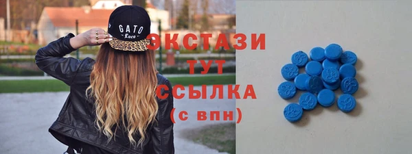 молекула духа Богданович
