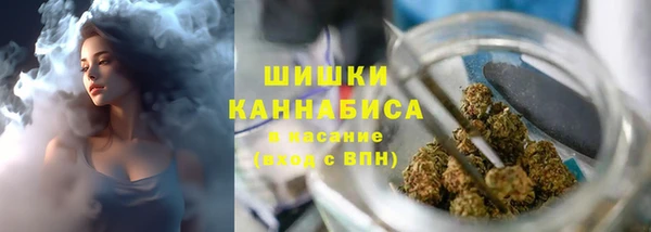 шишки Белокуриха