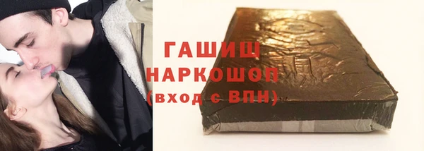 молекула духа Богданович