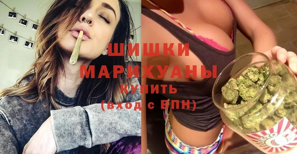 молекула духа Богданович