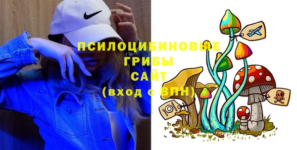 молекула духа Богданович