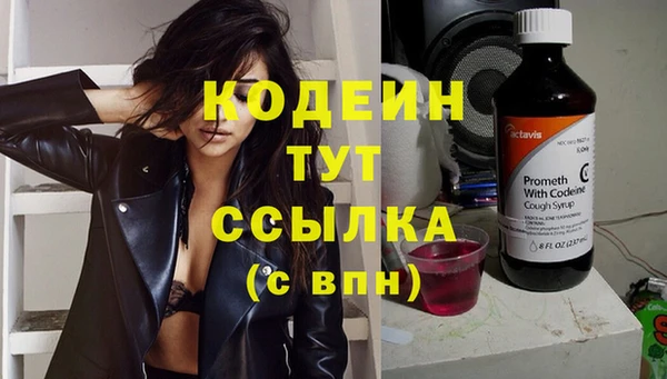 молекула духа Богданович