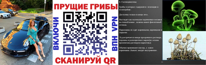Галлюциногенные грибы Cubensis kraken рабочий сайт Верея